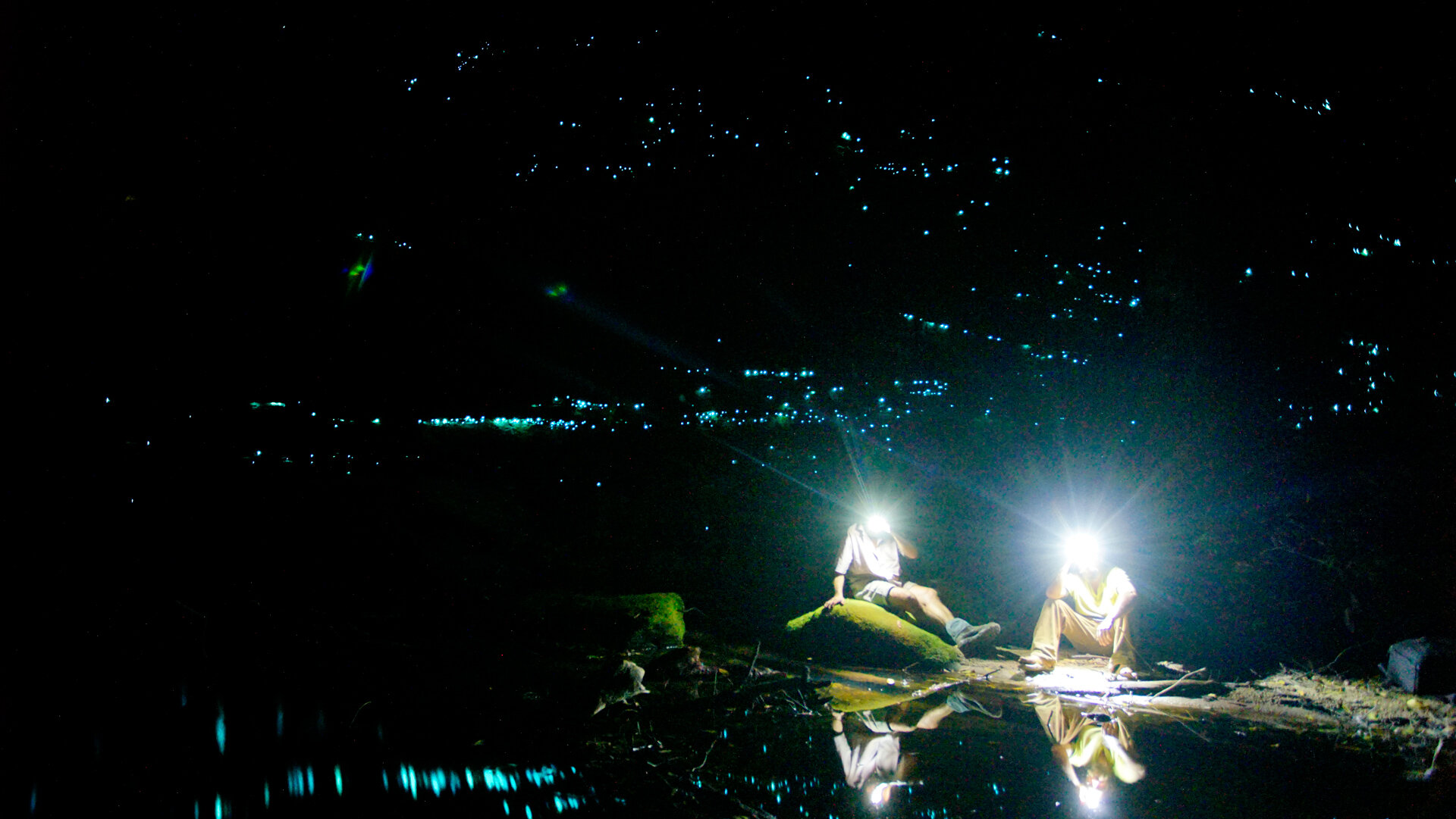 Guests under glow worms in the Wollemi