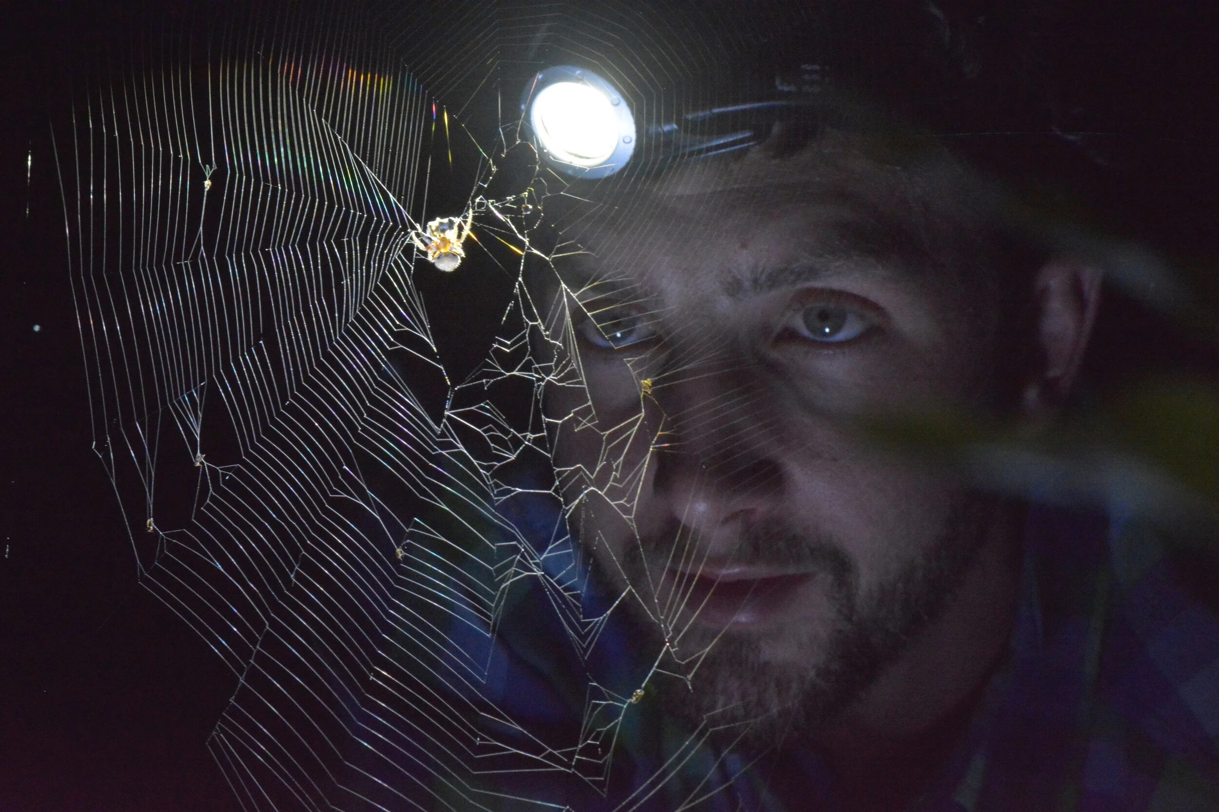 Tom with an orb weaver spider